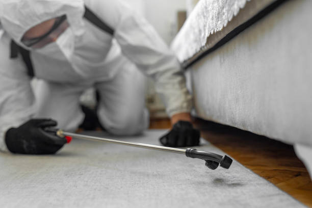 Professional Termite Control technician working in Putnam County County, WV